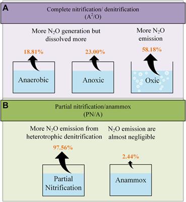 N2O emission reduction in the biological nitrogen removal process for wastewater with low C/N ratios: mechanisms and strategies